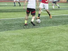 半场狂揽三,帕尔默荣膺,英超第,竞彩网,中国竞彩网官方,竞彩网官网,竞彩网首页